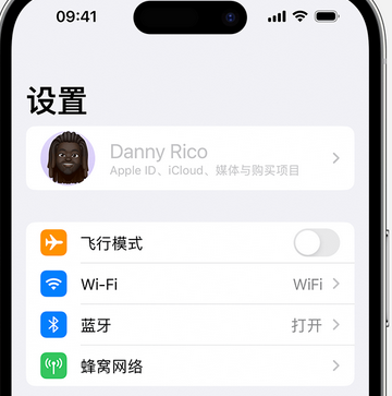 花溪appleID维修服务iPhone设置中Apple ID显示为灰色无法使用 