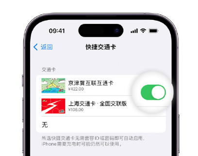 花溪apple维修点分享iPhone上更换Apple Pay快捷交通卡手绘卡面 