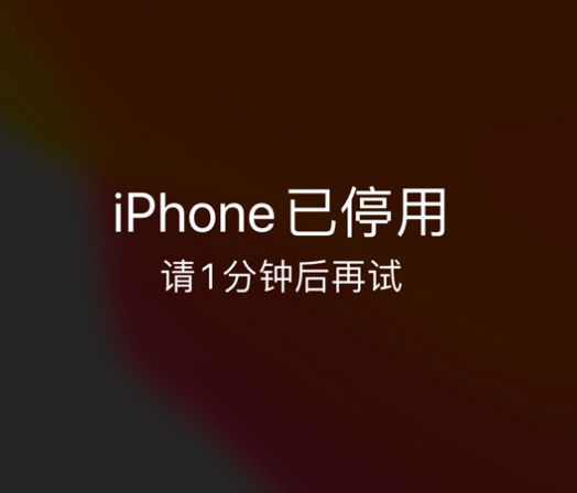 花溪苹果手机维修分享:iPhone 显示“不可用”或“已停用”怎么办？还能保留数据吗？ 