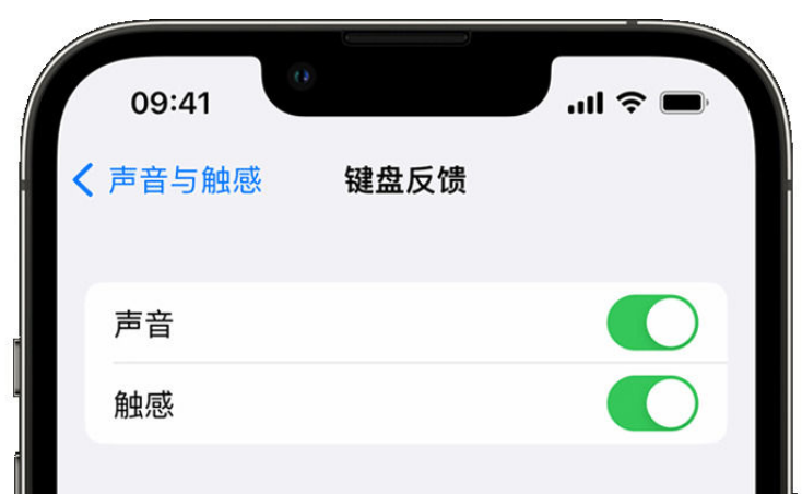 花溪苹果手机维修分享iPhone 14触感键盘使用方法 