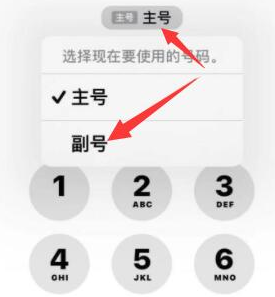 花溪苹果14维修店分享iPhone 14 Pro Max使用副卡打电话的方法 