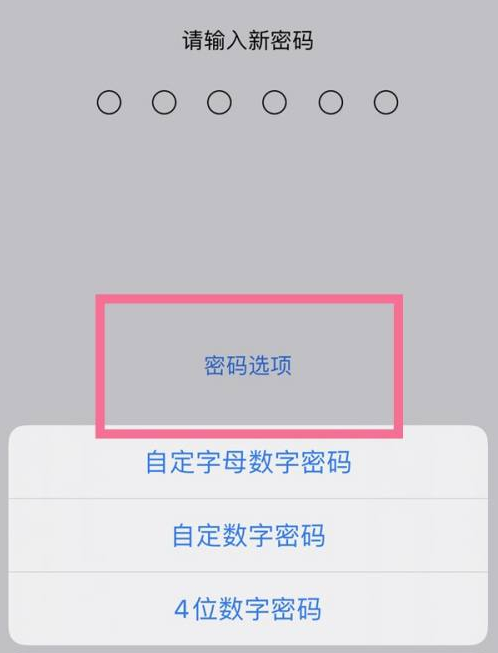 花溪苹果14维修分享iPhone 14plus设置密码的方法 