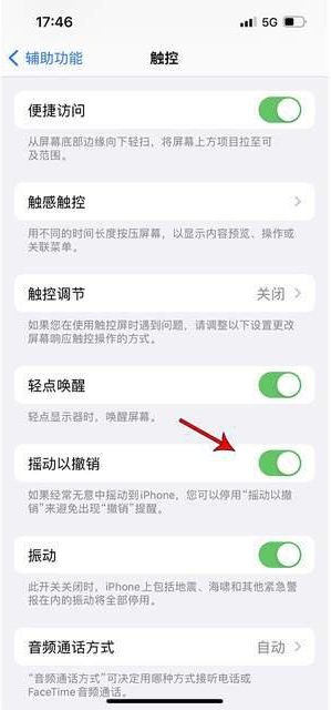 花溪苹果手机维修分享iPhone手机如何设置摇一摇删除文字 