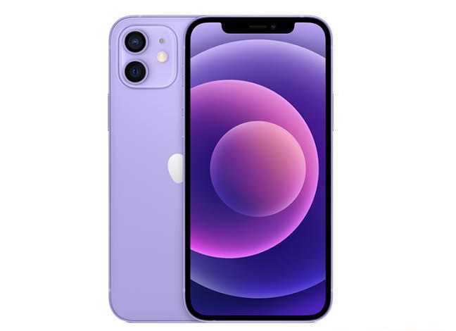 花溪苹果手机维修分享现阶段要不要入手紫色版iPhone12 